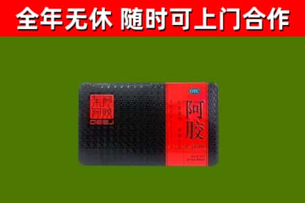 临夏县回收阿胶